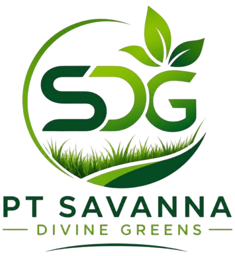 PT Savanna Divine Greens